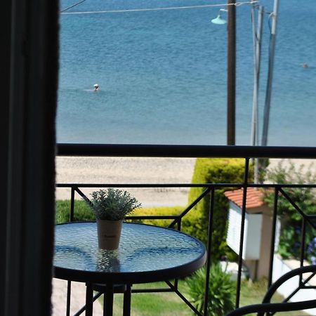 Ferienwohnung Christina'S Sea House Nikiti  Exterior foto